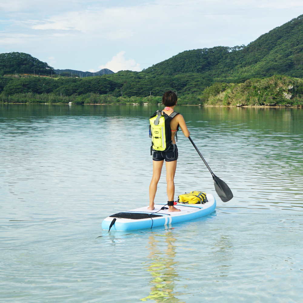 Classic Waterproof Backpack