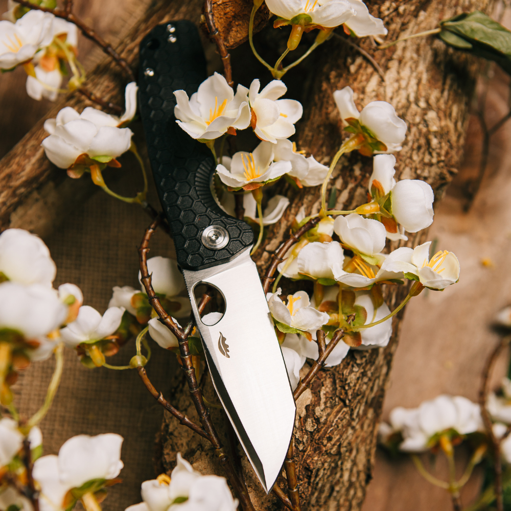 Tanto D2