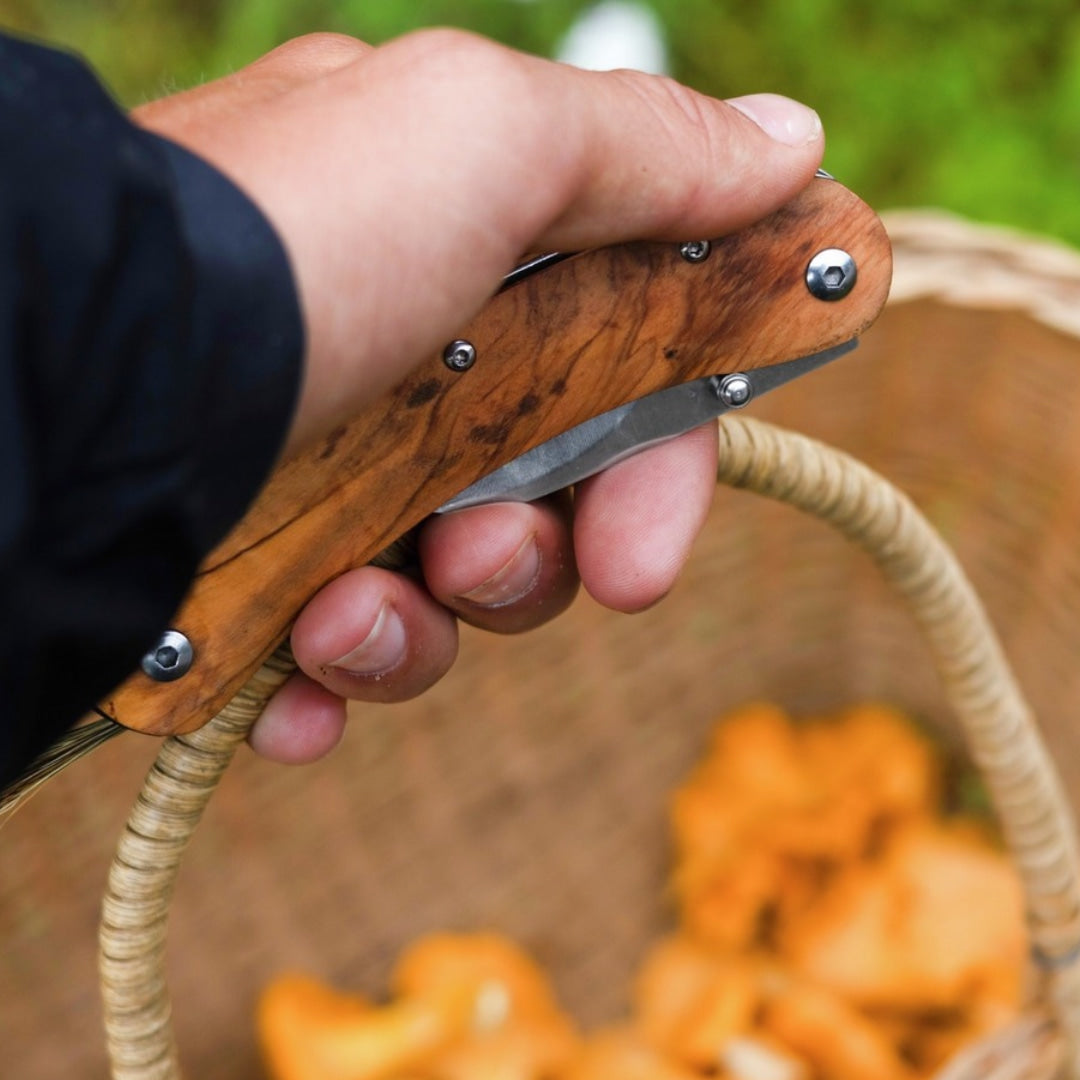 Brusletto Vedalen Folding Mushroom Knife