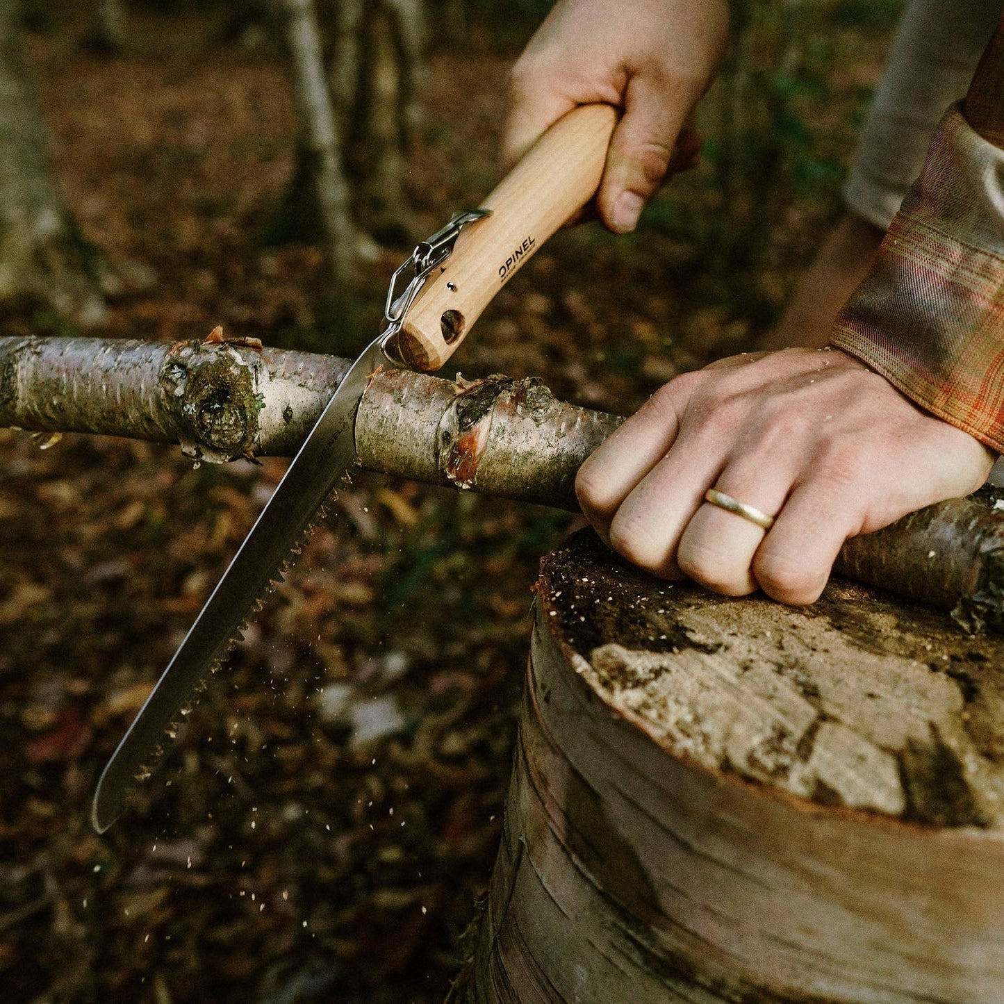 No.18 Saw blade outdoors and a wood craftsman companion.