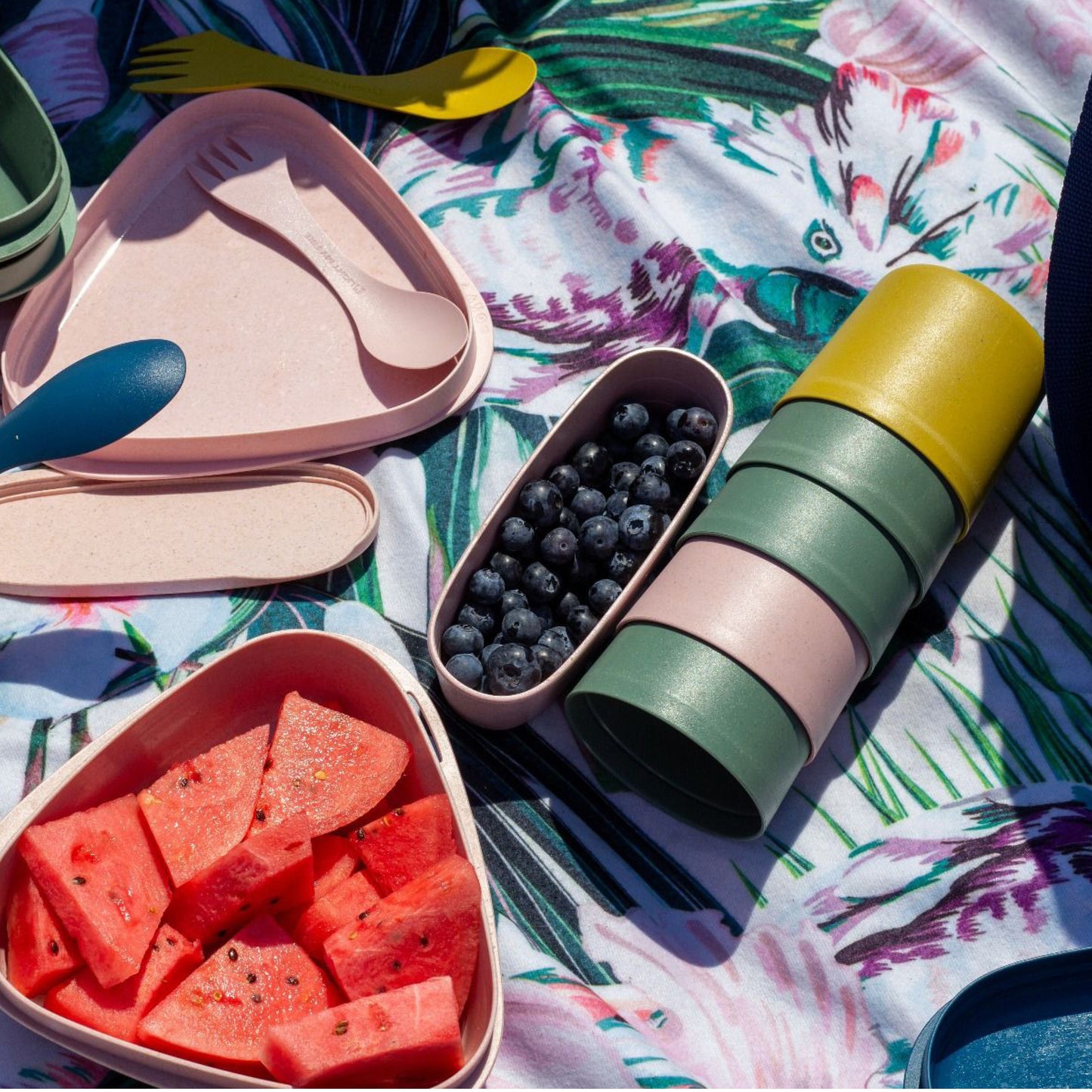 Picnic for 4