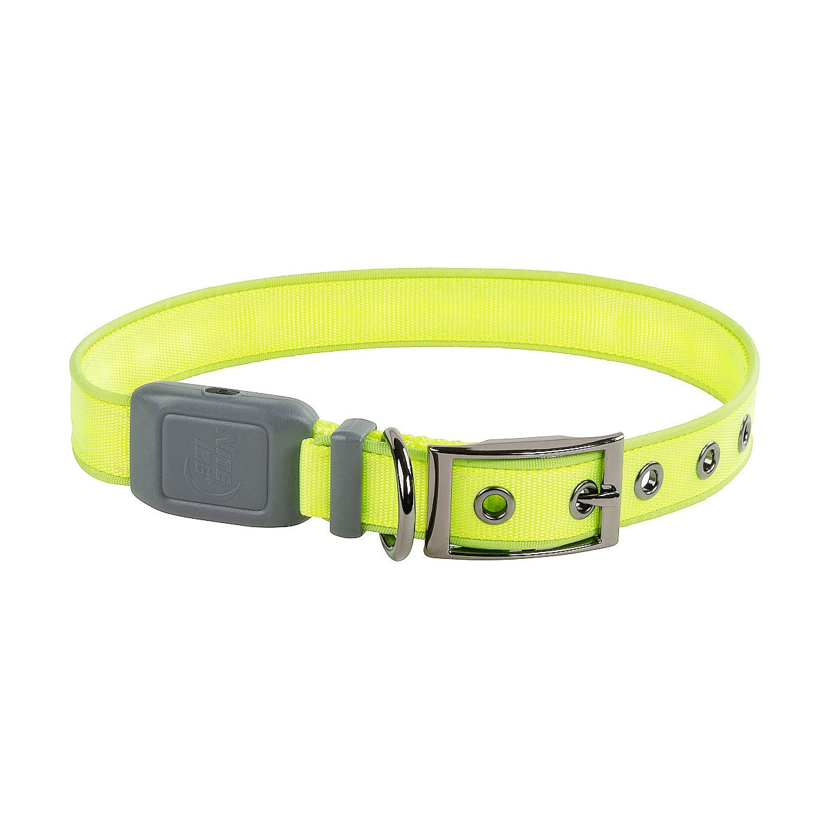 NiteDog Rechargeable LED Collar