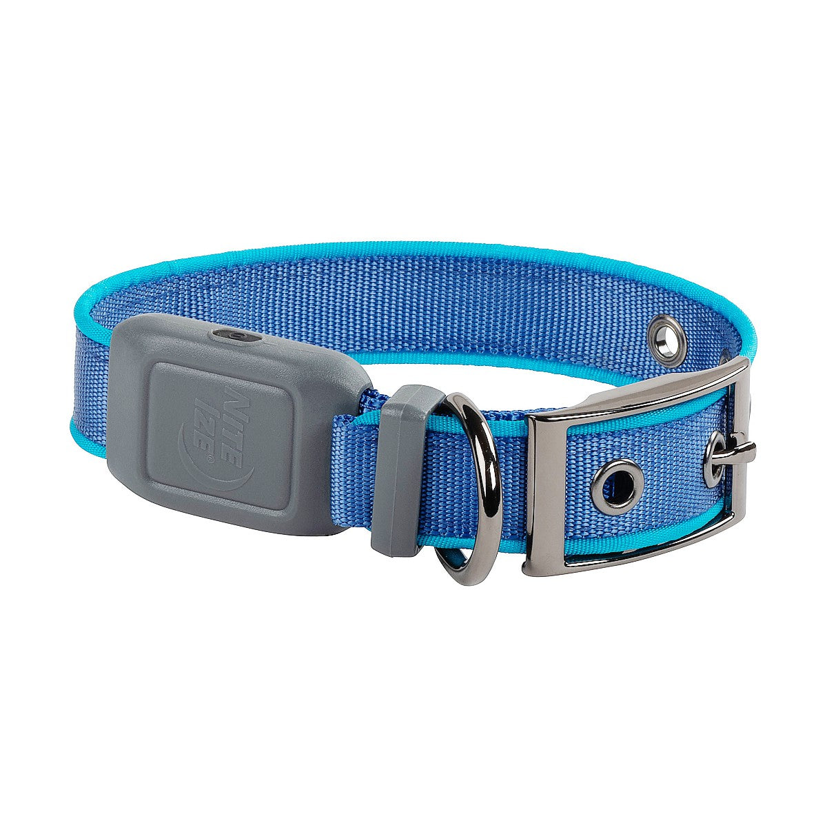 NiteDog Rechargeable LED Collar