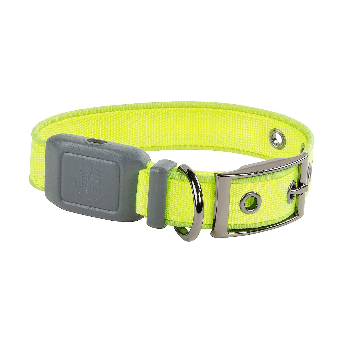 NiteDog Rechargeable LED Collar