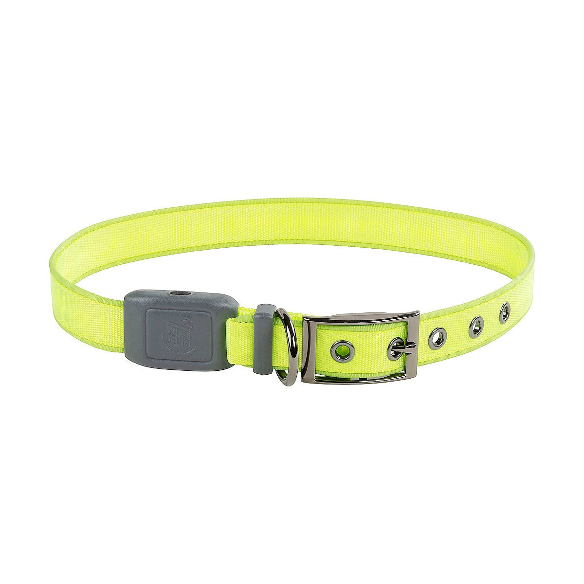 NiteDog Rechargeable LED Collar
