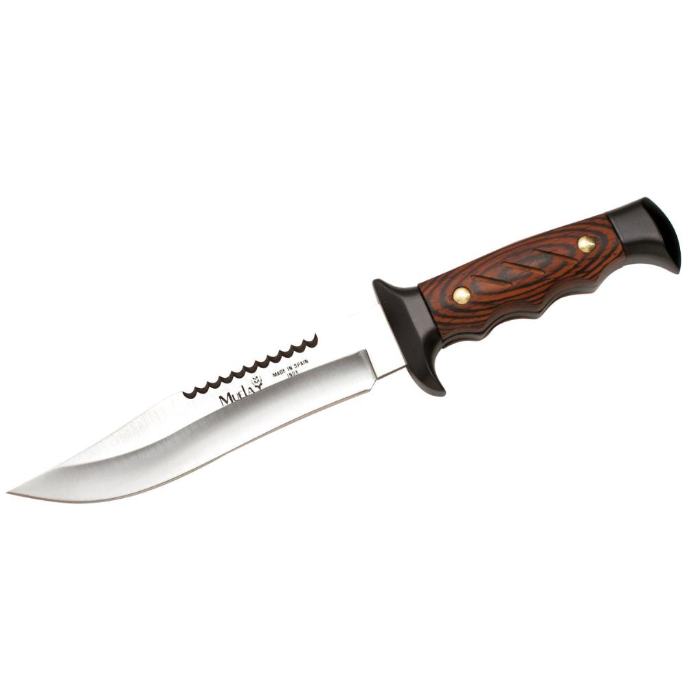 Military Knife - Coral Wood Handle