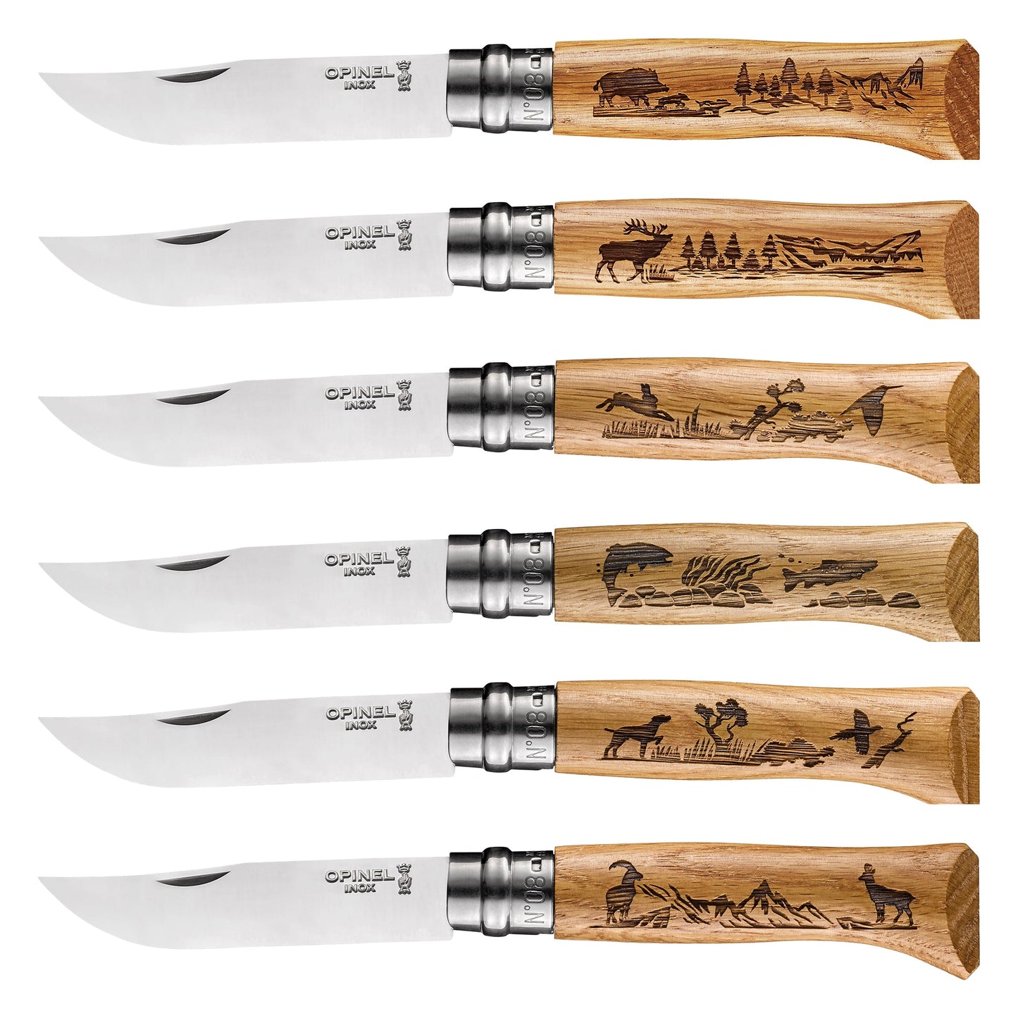 N°08 Limited Edition Engraved Animalia Box Set
