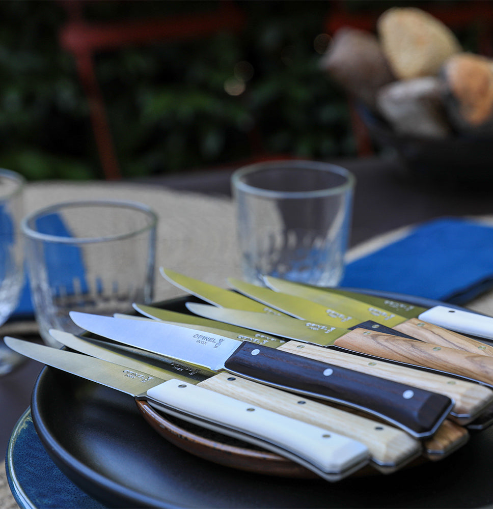 Facette table knives 4PC Set