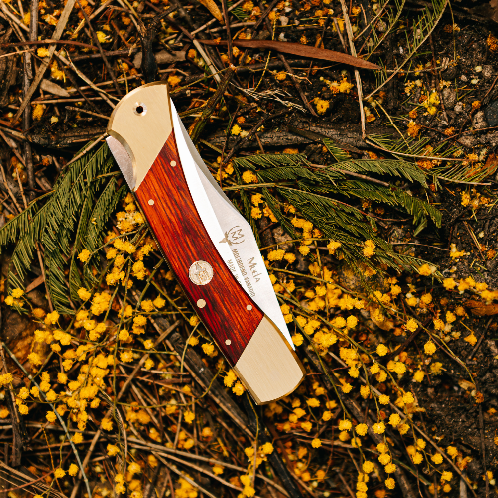 BX-8R Lockback - Coral Handle Knife