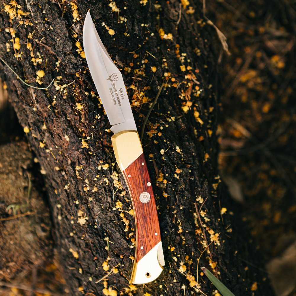 BX-8R Lockback - Coral Handle Knife