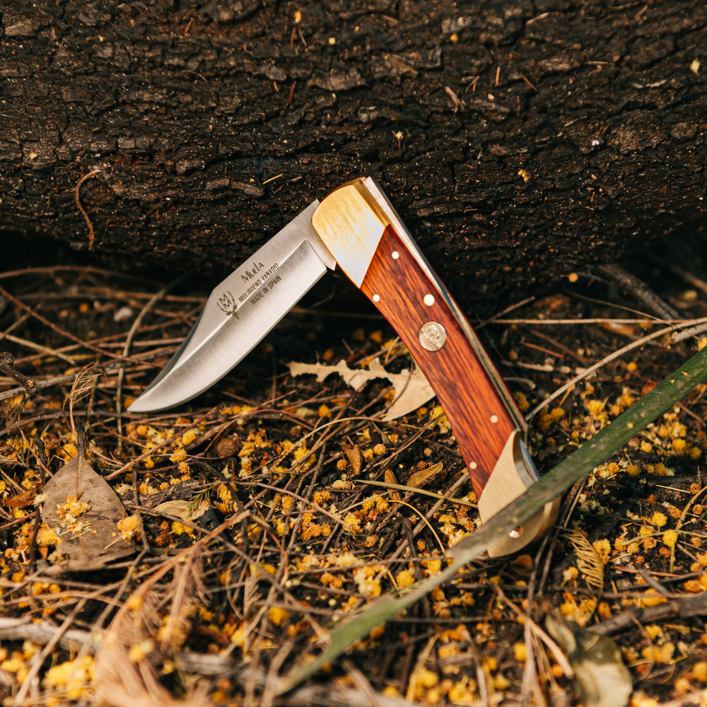 BX-8R Lockback - Coral Handle Knife