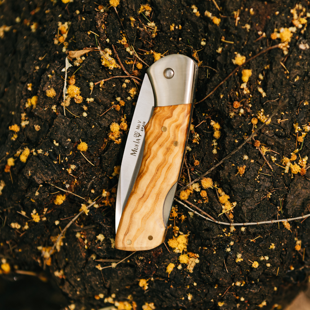 BX-8.OL Lockback - Olive Handle Knife
