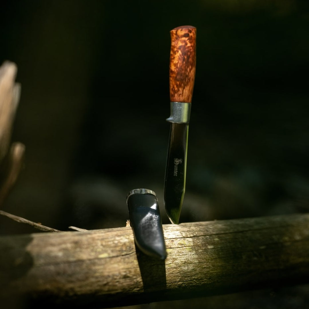 Brusletto Hunter