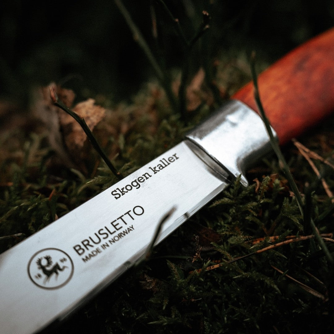 Brusletto Hunter