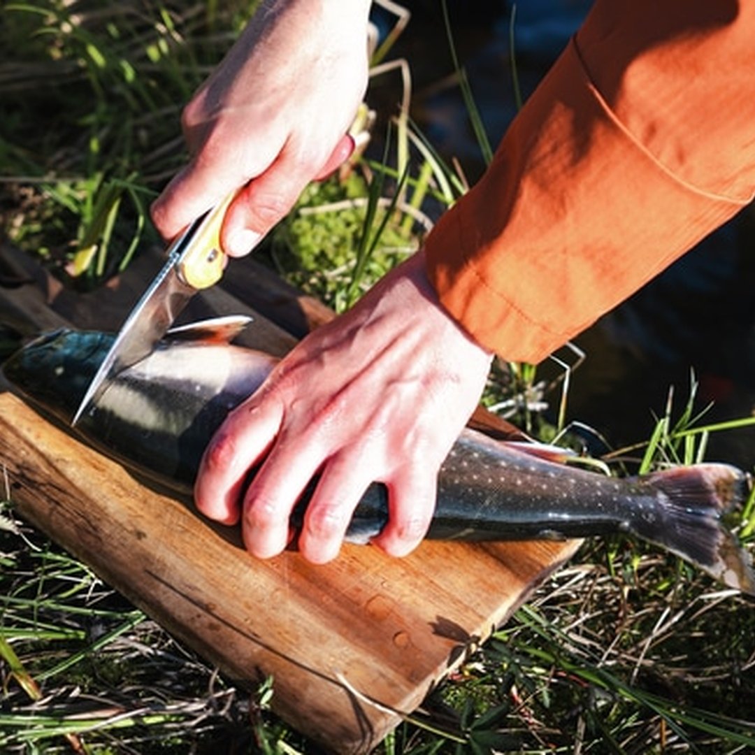 Brusletto Natten Folding Knife