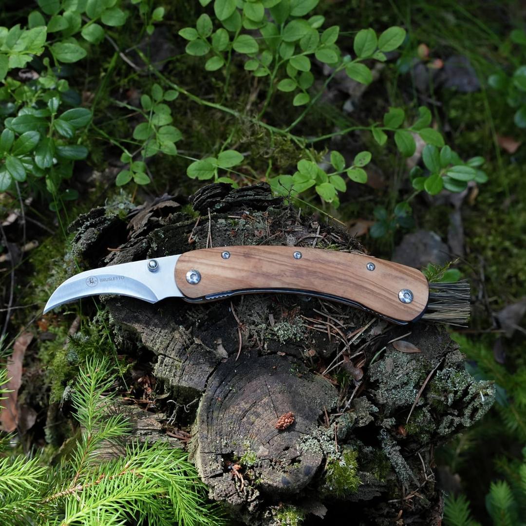 Brusletto Vedalen Folding Mushroom Knife
