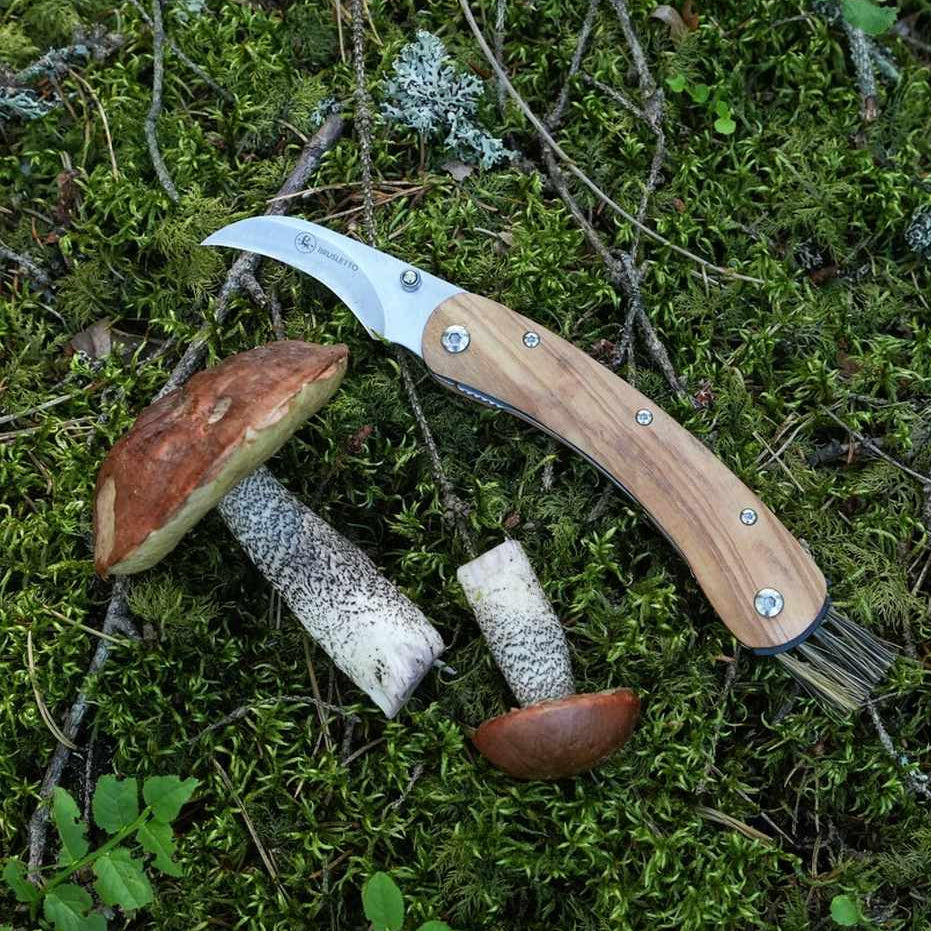Brusletto Vedalen Folding Mushroom Knife
