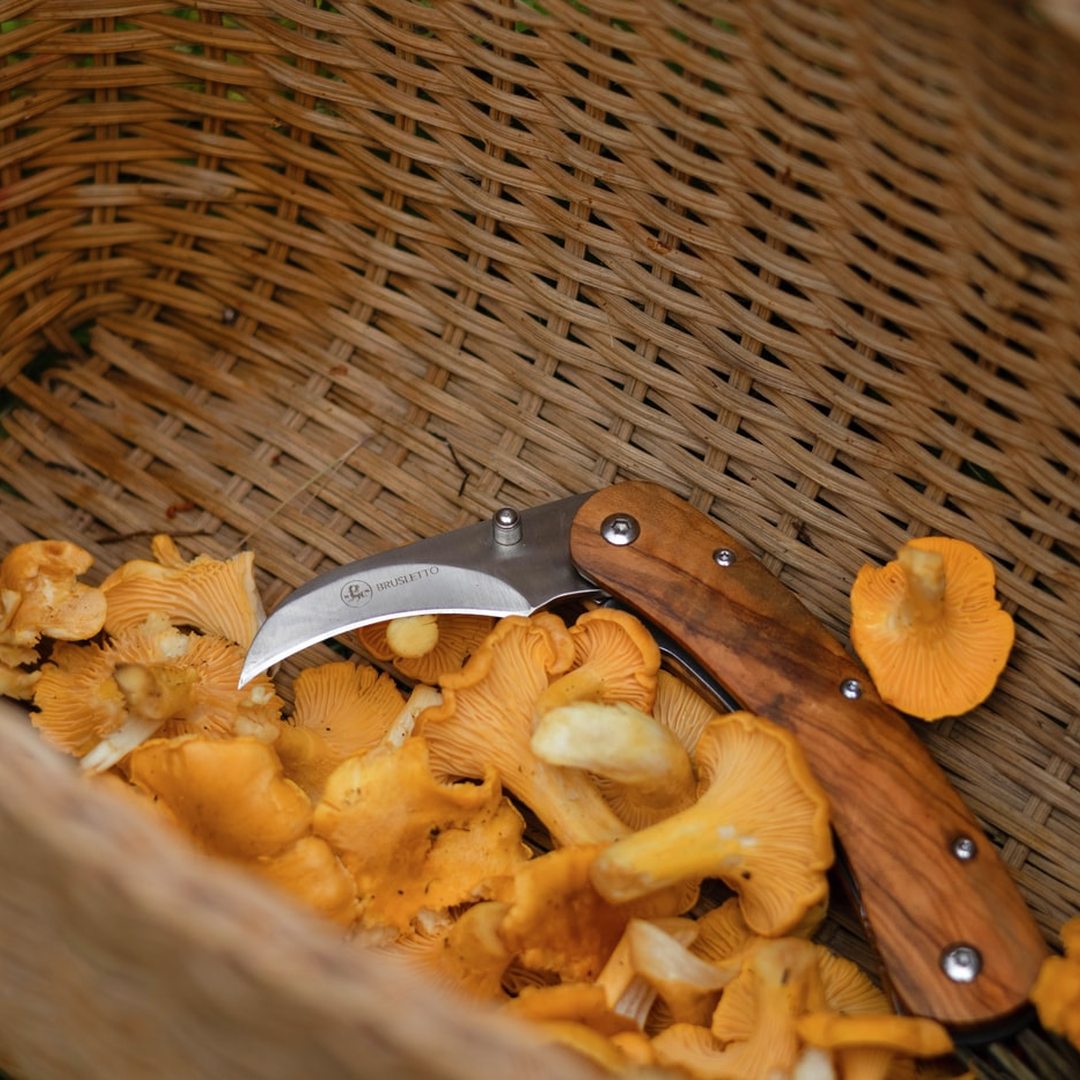 Brusletto Vedalen Folding Mushroom Knife