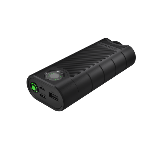 Flex10 Powerbank
