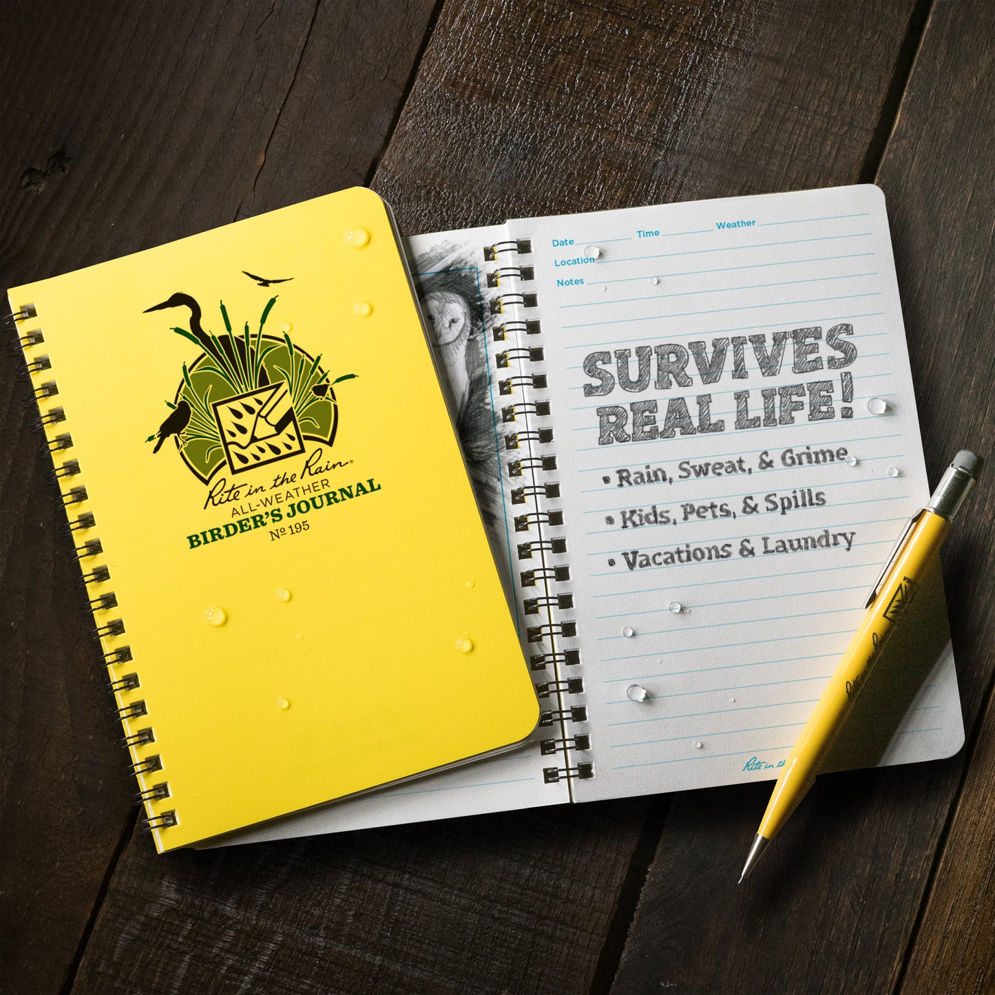 Birder's Journal