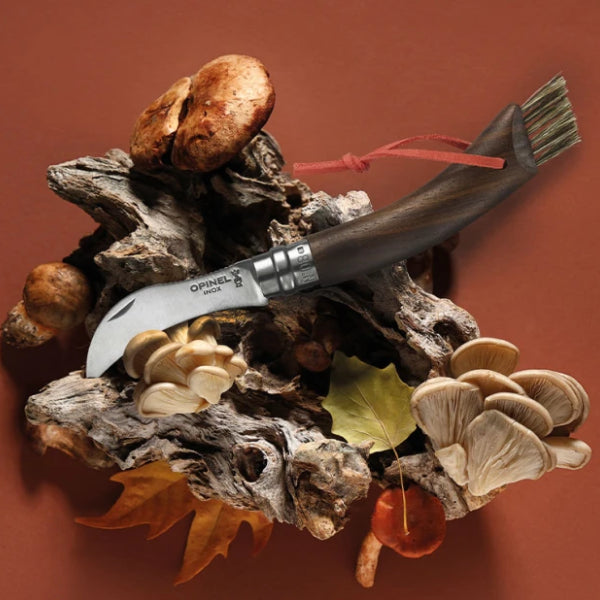 N°8 Mushroom Knife Black Walnut - Wooden Gift Box