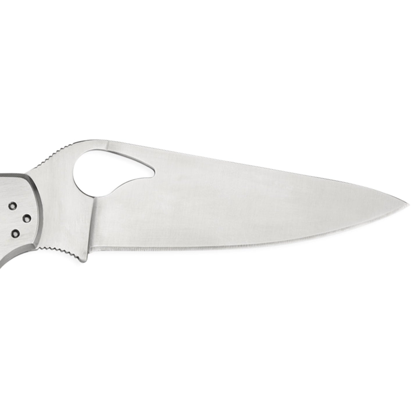 Cara Cara® 2 Stainless