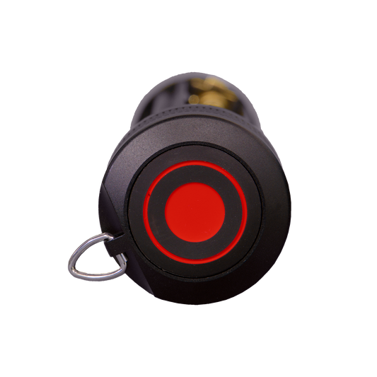 Battery Case | Switch | P14