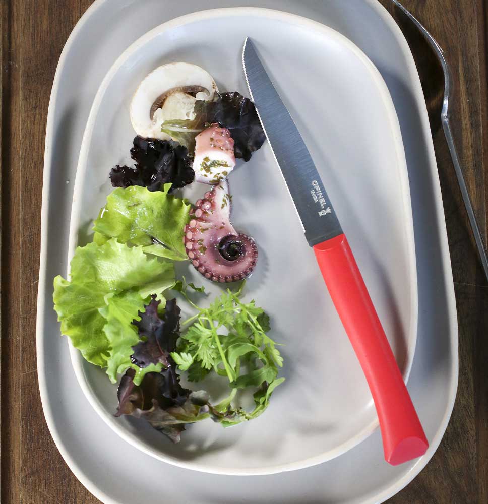 Bon Appétit+ Table Knife N°125 - Pack of 12
